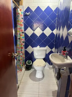 a bathroom with a toilet and a sink at Casa refugio Natural in Puerto Triunfo
