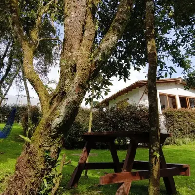 Cabaña campestre