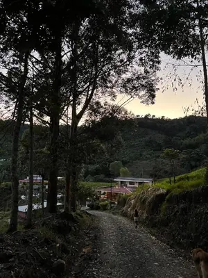 a person riding a bike down a dirt road with trees at finca hotel ganbaru