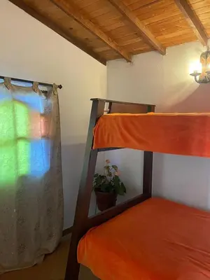 a bedroom with a bunk bed and a potted plant at Finca el Majagual in Guatapé