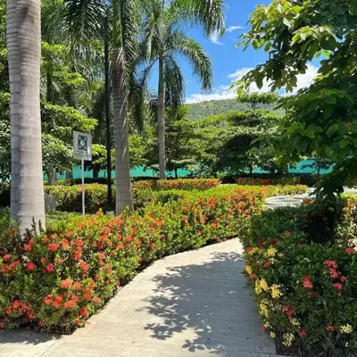 Apartasol vacacional