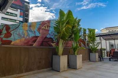 a wall with three potted plants in front of a mural at hotel civitas medellin in Medellín