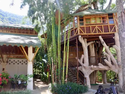 a tree house in the middle of some trees at Solvae EcoHotel in San Jerónimo