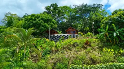 a house on a hill with trees and plants at Solvae EcoHotel in San Jerónimo