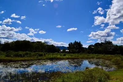 a pond with clouds in the sky and trees at Cabaña del lago con Jacuzzi in Rionegro