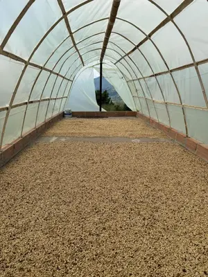 a greenhouse with a large amount of gravel inside at Finca cafetera para descanso in Fredonia