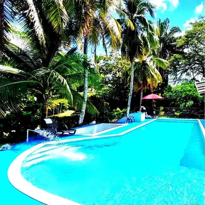 a swimming pool with palm trees in a resort at family home in Honda