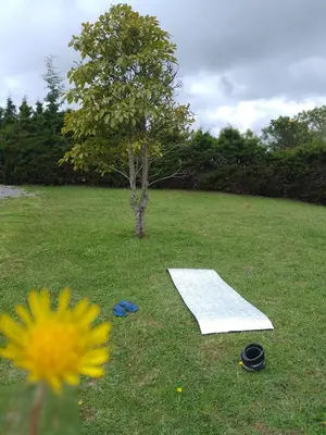 a white ramp in a field with a tree at Casa Campestre Familiar in Medellín