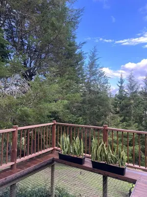 a wooden deck with plants in pots on it at Qimera Ecolodge - Cabaña a 7 Min del Aeropuerto JMC in Guarne
