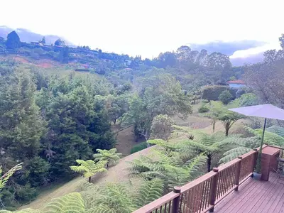 a balcony with an umbrella and a view of a forest at Qimera Ecolodge - Cabaña a 7 Min del Aeropuerto JMC in Guarne
