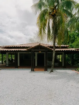 a building with a palm tree in front of it at Sandagua Hotel-Doradal, Antioquia in Puerto Triunfo