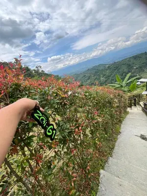 a person holding a skateboard in front of a field of flowers at ZOI Eco Hotel y Glamping in Manizales