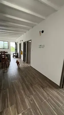 a dog running in an empty room with a table at ZOI Eco Hotel y Glamping in Manizales