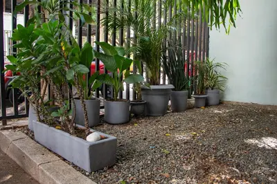 a row of potted plants sitting next to a fence at 2 Cuadras Estadio - La 70, Laureles, 700MB, AC in Medellín