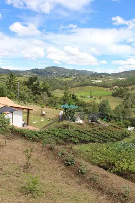 a view of a farm with a field of crops at Alma Casa Finca in Guarne