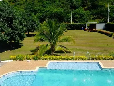 a swimming pool with a palm tree in a yard at Serenity Poolside Retreat in Santa Fe Villa Bonita in Santa Fe de Antioquia