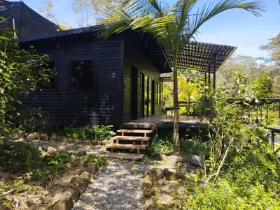 a black house with a palm tree in front of it at Madremonte Santa Elena finca con cabaña para 2 con piscina natural in Medellín