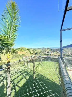 a view from the balcony of a house with a palm tree at Glamping en Rionegro in Rionegro
