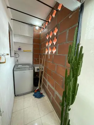 a bathroom with a cactus and a brick wall at Apartamento en Belén San Bernardo, Medellín in Medellín