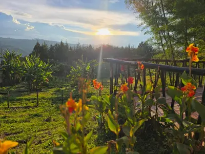 a garden with flowers in the foreground with the sunset in the background at Finca La Preciosura in El Peñol