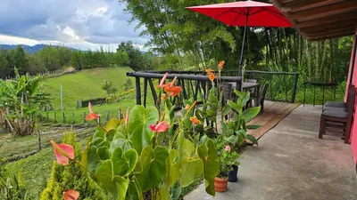 a patio with a red umbrella and some plants at Finca La Preciosura in El Peñol