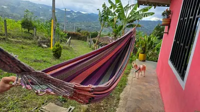 a person holding a hammock with a dog walking past a building at Finca La Preciosura in El Peñol