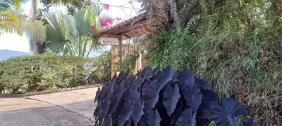 a blue plant is on the side of a building at Casa de Campo Bheta in Guatapé
