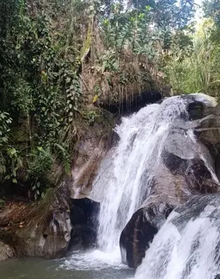 a waterfall in the middle of a jungle at San Sebastián barbosa in Barbosa
