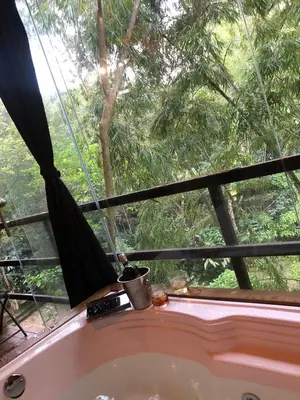 a bath tub in front of a window with a tree at San Sebastián barbosa in Barbosa