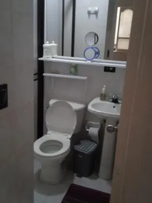 a small bathroom with a toilet and a sink at Apartamento vista lago 202 in Guatapé