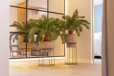 a room with two potted plants in front of a mirror at Exclusive Luxury Apartment - Poblado Medellín in Medellín