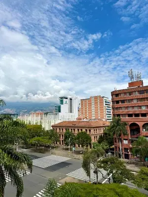 a city with tall buildings and palm trees and a street at Hotel Plaza Mayor 44 in Medellín