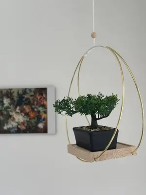 a potted plant on a shelf next to a mirror at Plaza Corales Manizales in Manizales