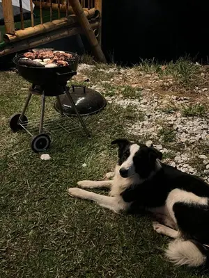 a black and white dog laying in the grass next to a grill at Conexión naturaleza in San Luis