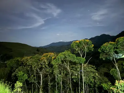 a group of trees with mountains in the background at Conexión naturaleza in San Luis