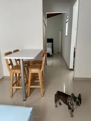 a small dog standing next to a table and chair at Las Flores de Mria 304 in Jardin