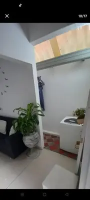 a small room with a plant in a pot at individual studio apartment 3 in Medellín