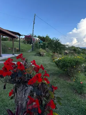 a bush of red flowers in a garden at Encantadora finca en el corazón de Marinilla con vistas únicas y ubicación privilegiada in Marinilla