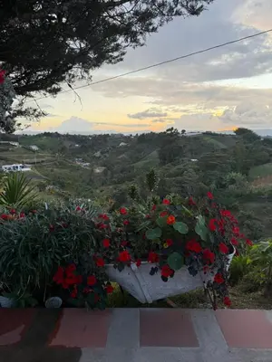 a flower pot filled with red flowers on a hill at Encantadora finca en el corazón de Marinilla con vistas únicas y ubicación privilegiada in Marinilla