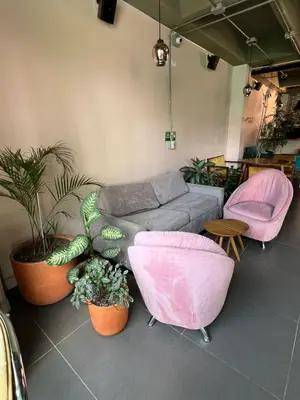 a living room with a couch and potted plants at Candilejas in Fredonia