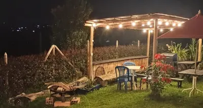 a pergola with lights on it in a garden at night at Villa Graciela in Horizonte