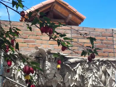 a brick wall with a bird house on top of it at Moss in San Isidro