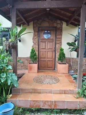 a front door of a house with potted plants at Moss in San Isidro