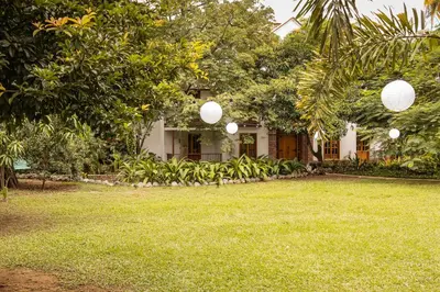 a house with white paper lanterns in a yard at Palma Serena Finca Hotel in Santa Fe de Antioquia