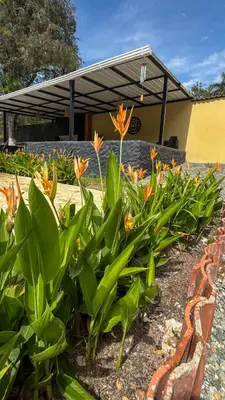 a row of flowers in front of a building at Villa Sol in Sopetran