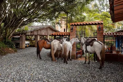 a group of four horses standing next to a gate at Sweet Helen Casa Santa in Rionegro