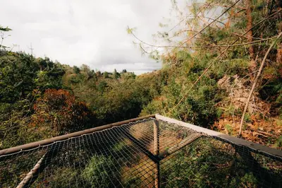 a suspension bridge in the middle of a forest at Forest El Retiro, cabañas en el bosque in El Retiro