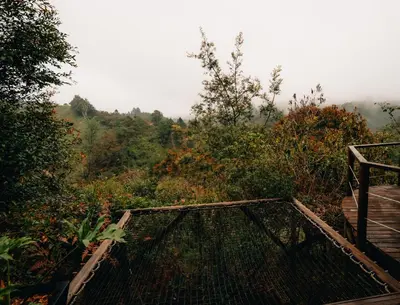 a viewing platform with a view of a forest at Forest El Retiro, cabañas en el bosque in El Retiro