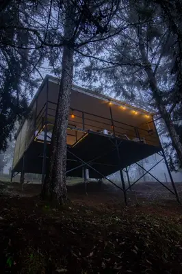 a house on a tree in the woods at night at Mist CHALETS in Santa Bárbara