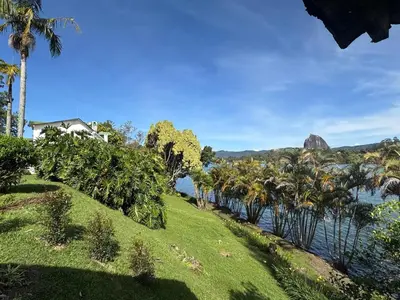 a row of palm trees next to a body of water at Finca Vista Hermosa in La Pradera